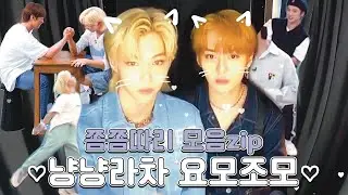 [스트레이키즈/리노,필릭스] 짜투리 냥냥라차 쫌쫌따리 모음zip