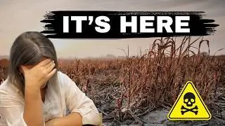 GMO WHEAT Has Invaded the U.S.! | Full Breakdown