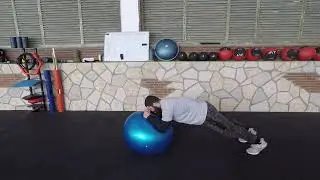Pillar Bridge   Stability Ball