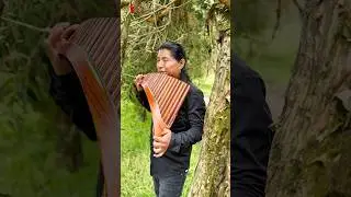 Inca sol - Nostalgia #worldmusic #andeanmusic #nativemusic #panflute  #relaxingmusic #quena