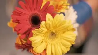 The Miami Flower Market