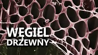 WĘGIEL DRZEWNY w mikroskopie elektronowym
