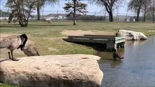 In Forestry Farm Park - Saskatoon, Saskatchewan