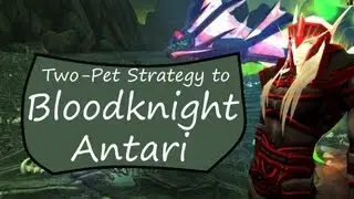 Bloodknight Antari: Руководство по битвам питомцев в WoW (два питомца)