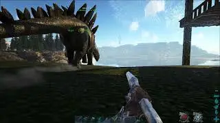 ahh yes... the ark experience