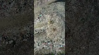 Plastic pollution: the unseen killer