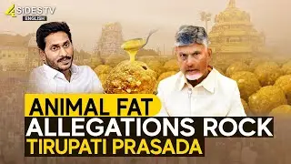 Animal Fat Allegations Rock Tirupati Prasada || @4SiDESTVEnglish