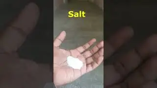Fevicol 🧴 vs Salt 🧂 experiment II Science Experiment for Kids🧒 #shorts #viral #trending #experiment