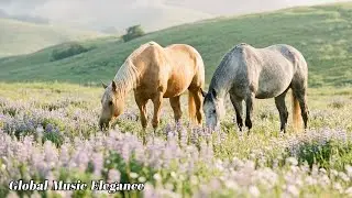 Кружащийся и падающий снег 🎶 Эту музыку можно слушать вечно 🎶 Зимняя музыка 🌿 Сергей Грищук