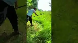cortando mato satisfat&oacute;rio
