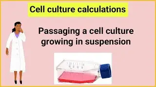 Passaging a cell culture growing in suspension_Cell culture calculations