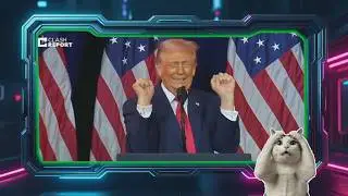 Кото-Новости #шуточное #приколы #смех 😄