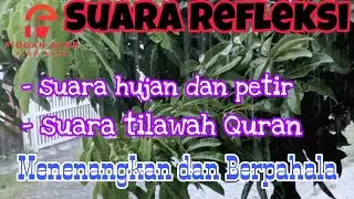 SLEEP CALMING THERAPY‼️THE SOUND OF RAIN AND MELODIOUS QURAN RECITATION‼️ASMR