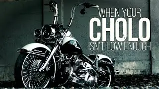 SOFTAIL FORKS - GETTING THAT SUPER LOW LOOK (Exclusive Hack)