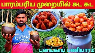 திடீரென பழமொழி சொன்ன அம்மா l village life 💚💚 vanni bro l 