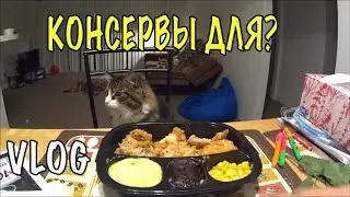 Как выселяют из квартир в Америке! Замороженная еда ВЛОГ 269 Жизнь в США Olga Lastochka