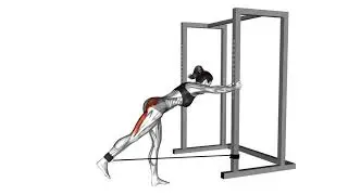 Band Bent Over Hip Extension： A Comprehensive Exercise Guide 09801201 Band bent over hip extension f