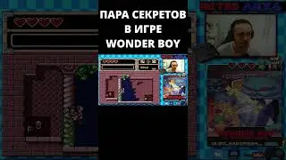 ПАРА СЕКРЕТОВ В ИГРЕ WONDER BOY