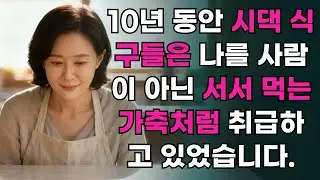 아무도 제 편이 아니던 집에서, 저는 마지막으로 밥상을 정리했습니다