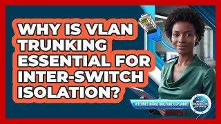 Why Is VLAN Trunking Essential For Inter-Switch Isolation?