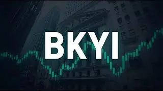 BIO key International Micro Cap Dossier Explained BKYI $BKYI #BKYI #finance #stockmarket #investing
