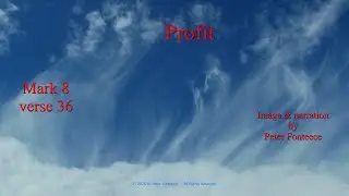 Profit
