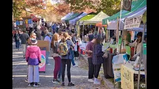 Living in Rosedale, VA: The Ultimate Local Guide | Homes.com