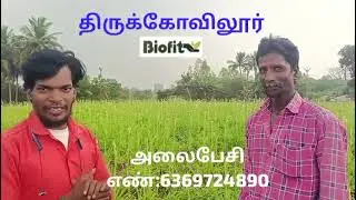 #thirukovilur #இயற்கைஉரம் #biofit #kallakurichi #ரிஷிவந்தியம் #மணலூர்பேட்டை #திருவண்ணாமலை #netsurf 