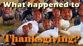 Everyday Geek Rant :: What happened to Thanksgiving? :: The forgotten holiday!