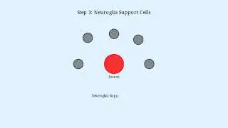 THE NERVOUS TISSUE