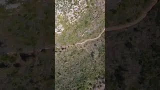 #offroad #car #trip #nature #backtonature #forest