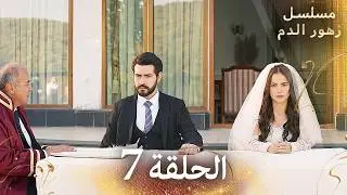 الحلقة 7 | مسلسل زهور الدم | مدبلج بالعربية | Kan Çiçekleri - الجزء الاول
