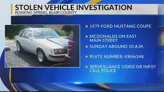 Stolen Vehicle Investigation