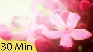 30 Минут Музыка для Глубокого Сна: Музыка для Медитации, Успокаивающая, Музыка для Релаксации ☯160B