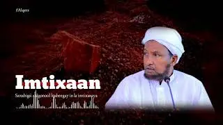Cusmaan Waxaa Loo Sheegay In Musiibo Ku Dhici Doonta || Sheekh Xuseen Cali @KHAYRULISLAAM