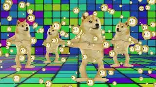 Free Your Doge - DogeDEX a Non Custodial Dogecoin Wallet and Decentralized Exchange