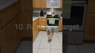 101 things to do with a box
