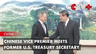 Chinese Vice Premier Meets Former U.S. Treasury Secretary