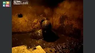 Serbia Septic