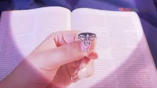 Butterfly Color Changing Mood Ring in Silver
