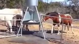 Automatic Horse Feeder - Feed Smart - Johnson Farm   Kingsland Tx