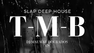 SETMIX 100 MEDUZA - DJ MAUMAU  T-M-B