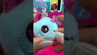 Eenie Teenies Squeezamals ASMR Oddly Satisfying Toy Unboxing