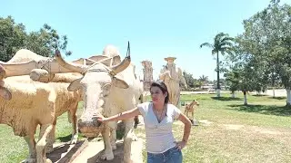 Visitando Cobija Pando Bolivia 🇧🇴🇧🇴🇧🇴 #cobija #bolivia