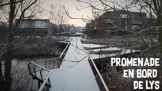 Promenade hivernale en bord de la Lys