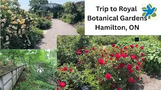 Trip to Royal Botanical Gardens in Hamilton, ON