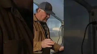 BEST Seeds for a 338-Cell Seed Tray!!