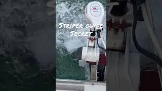 Striper guides use thumpers or paddles for the thump #shorts, #fishing , #fishingvideo