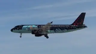 Brussels Airlines Airbus A320-214 OO-SNB (cn 1493) Special Tintin colors
