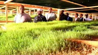 Mashruuc lagu soo saarayo calafka xoolaha ayaa maanta laga daah furay magaalada Cadaado.